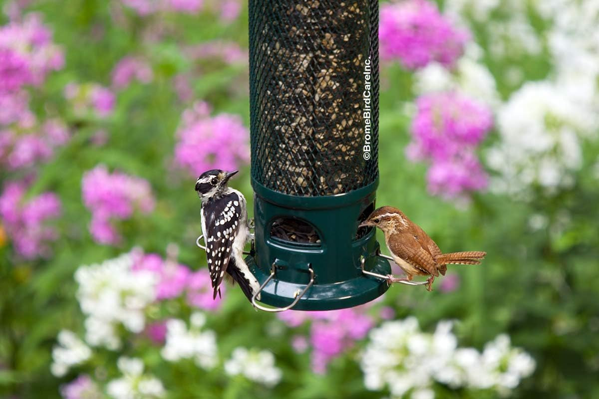 Squirrel Buster Legacy Squirrel-Proof Bird Feeder W/4 Metal Perches, 2.6-Pound Seed Capacity